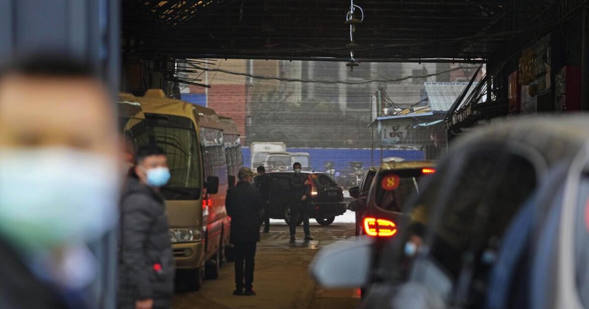 New genetic analysis points to Wuhan market as origin of COVID

