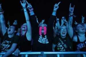 Riot Fest opens at Douglass Park with Fall Out Boy and Marley Brothers