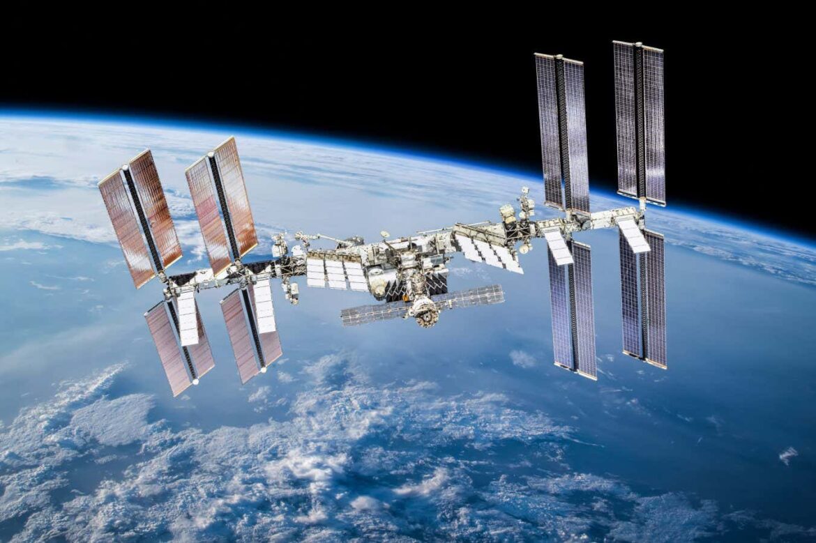 Space station bacteria evolve into life in space

